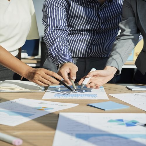 Vision XanderNutrition